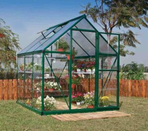 pal701617_szklarnia ogrodowa hybrid palram 1,8x1,8 m z polwięglanu zdjęcie główne