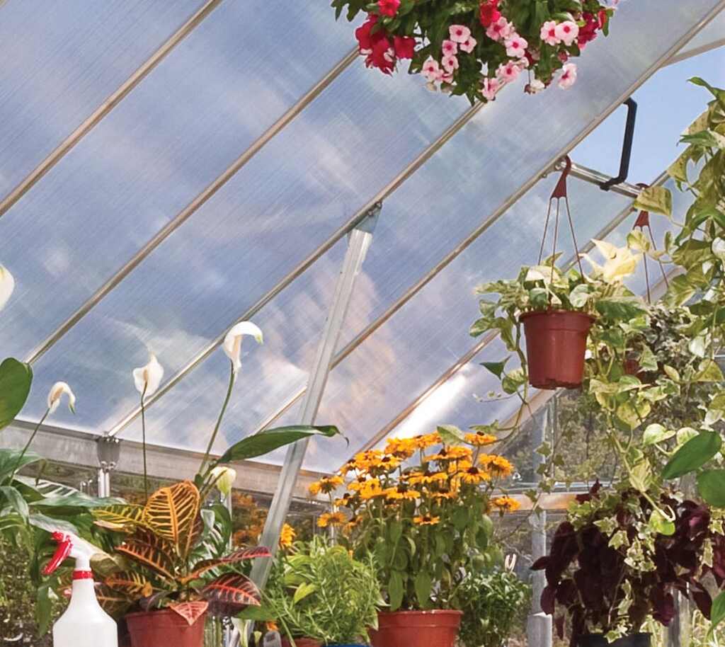 Szklarnia-poliweglanowa-Balance-2-44-x-3-67-m-Palram aluminiowa (4) Szklarnia-poliweglanowa-Balance-2-44-x-3-67-m-Palram aluminiowa wnętrze