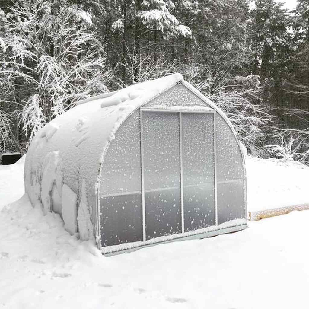 Szklarnia-z-poliweglanu-6mm Bella-2,4x2,4 m (3) Szklarnia-z-poliweglanu-6mm-Bella-24x24-m cała w śniegu